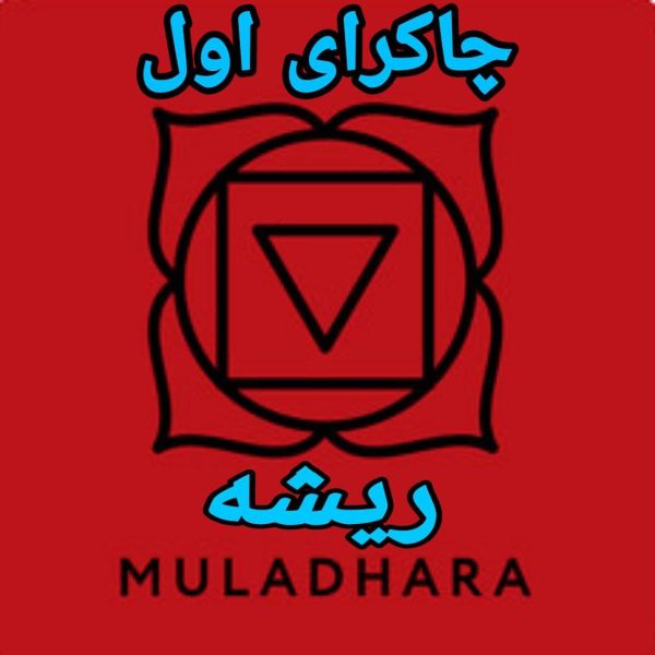 دانلود آموزش تخصصی چاکرای اول (ریشه)