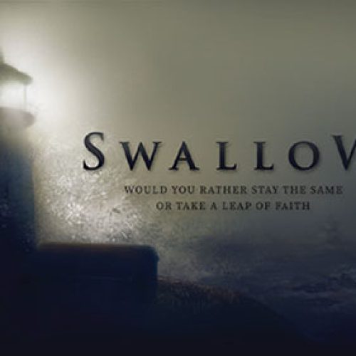 بازی بلعیدن (برای کامپیوتر) - Swallow PC Game